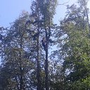 ���� �����, �����, 31 ��� - ��������� 25 �������� 2019 � ������ ���� ����������