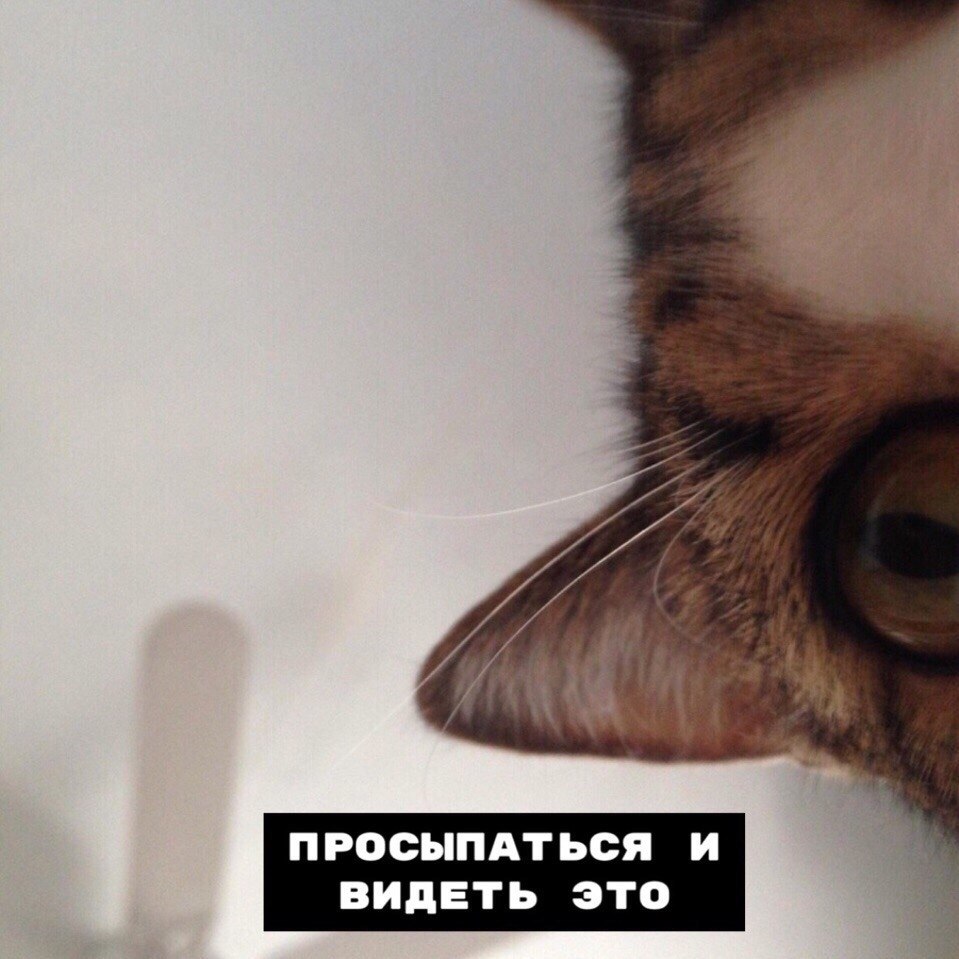       - 8