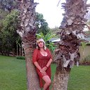 ���� ��������, ���������, 54 ���� - ��������� 14 ������� 2019 � ������ ���� ����������