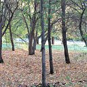  , , 68  -  22  2019    2019