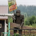  , , 50  -  26  2019   --