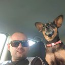 ���� �������, ����������, 43 ���� - ��������� 19 �������� 2019