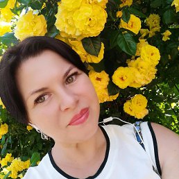 ���� ����, ������, 43 ���� - ��������� 5 ������� 2019