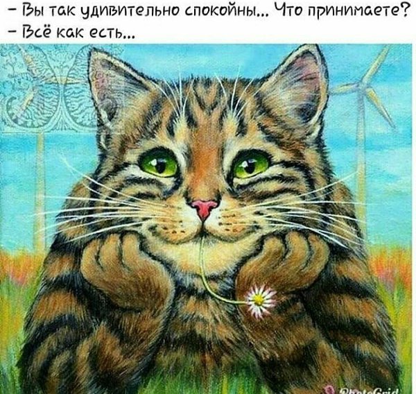 =Fox= - 13  2019  12:06