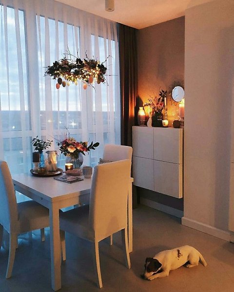      . - talika_home