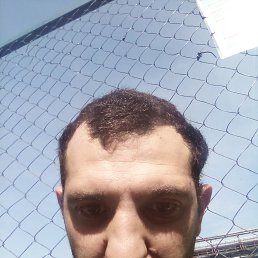 , , 31 
