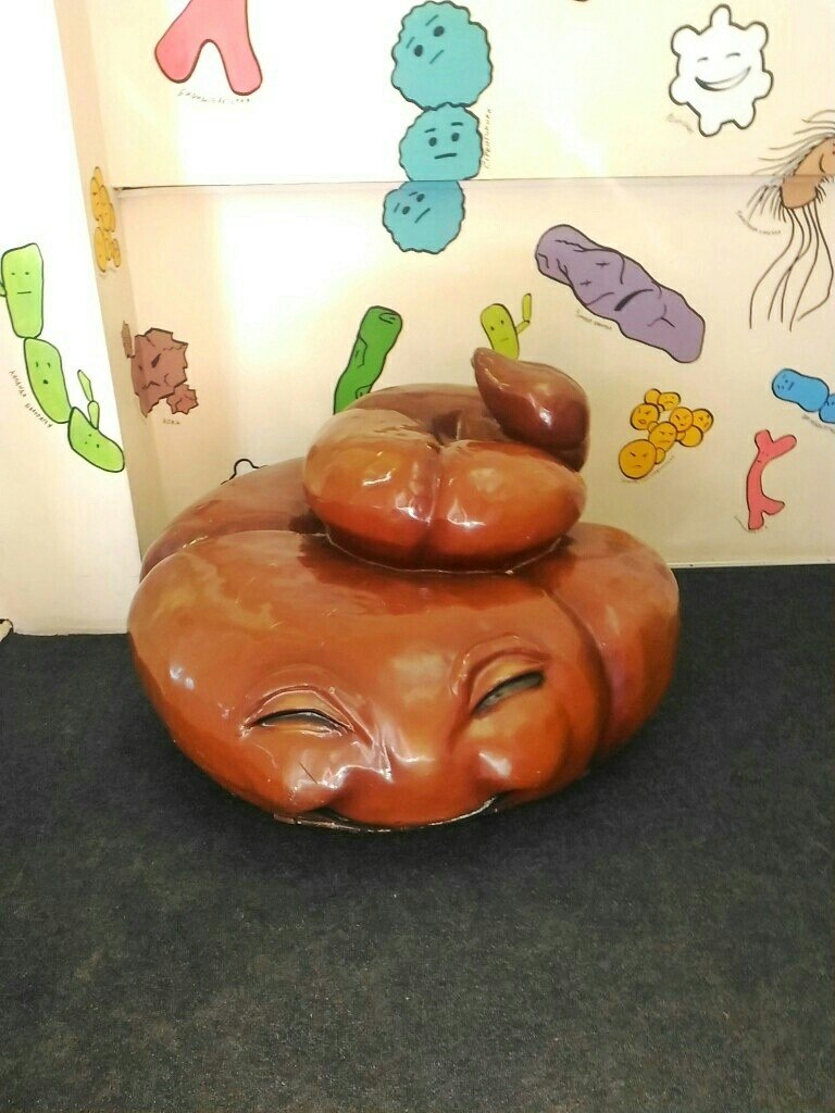 ����� 