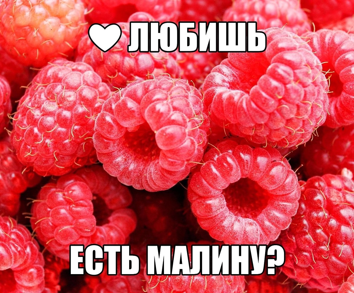   - 18  2019  03:29