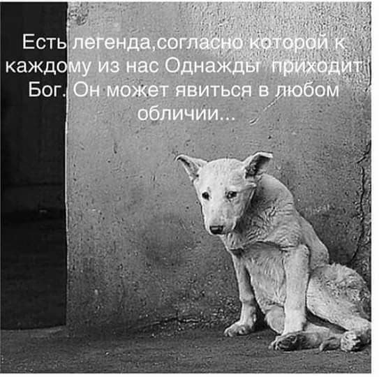 ***Victoria Viktorovna*** - 23  2019  17:56