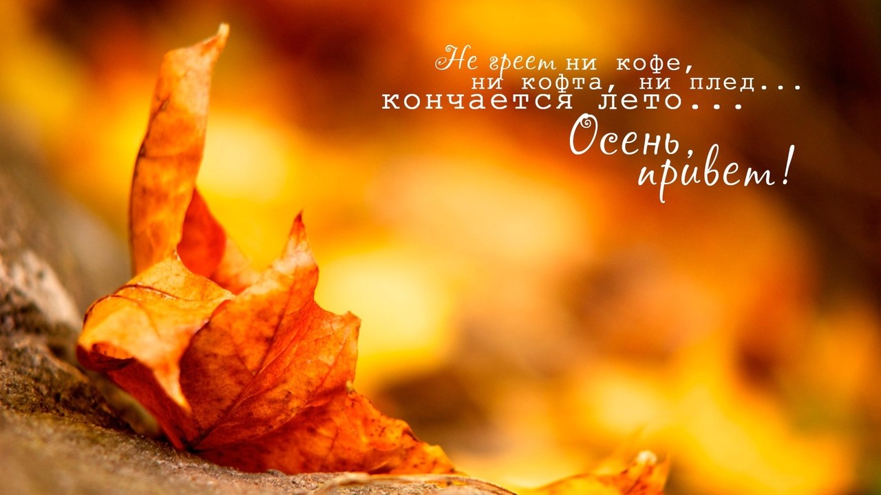   ,    . - 28  2019  10:25