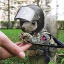 ���� �������, ������ - ��������� 21 ������ 2019 � ������ ������ ��������