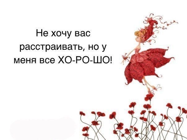   ,    . - 20  2019  17:35