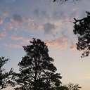 ���� �������, ������������, 59 ��� - ��������� 29 ���� 2019 � ������ ������� ������