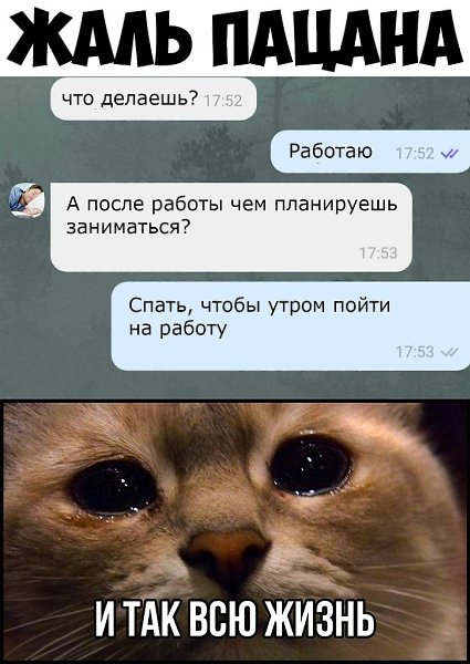    :D - 9  2019  03:23