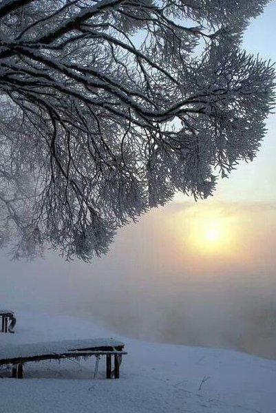  - 22  2019  20:25