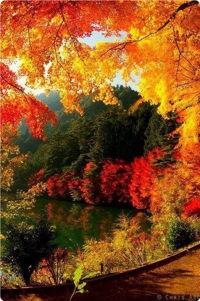  |  | - - 25  2019  03:42 - 6