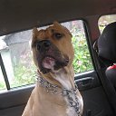 ���� � ����� �������..... �� ������� ���� ����������