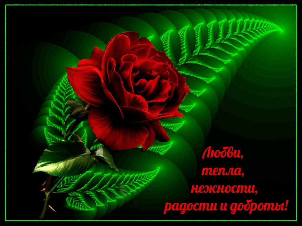   ,    . - 11  2019  22:10