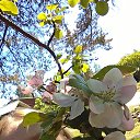 ���� Elena, �����-���������, 62 ���� - ��������� 6 ���� 2019 � ������ ���� ����������