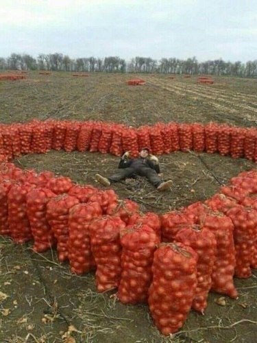 Как бы не выглядело это смешно, но у них хоть романтика есть - 6