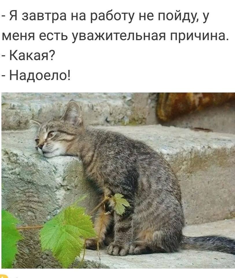 )))