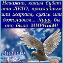 ���� ������, �����-��������� - ��������� 27 ������ 2019 � ������ ������ ��������