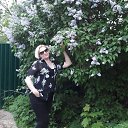 ���� �����, ������� �����-7, 54 ���� - ��������� 30 ��� 2019 � ������ ���� ����������