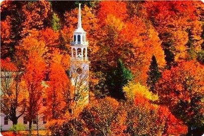  |  | - - 25  2019  03:42 - 5