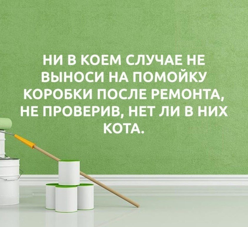 ☆ ☆ - 5  2019  03:36