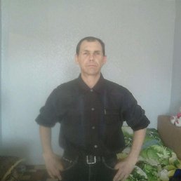 ��������, ����������, 56 ���