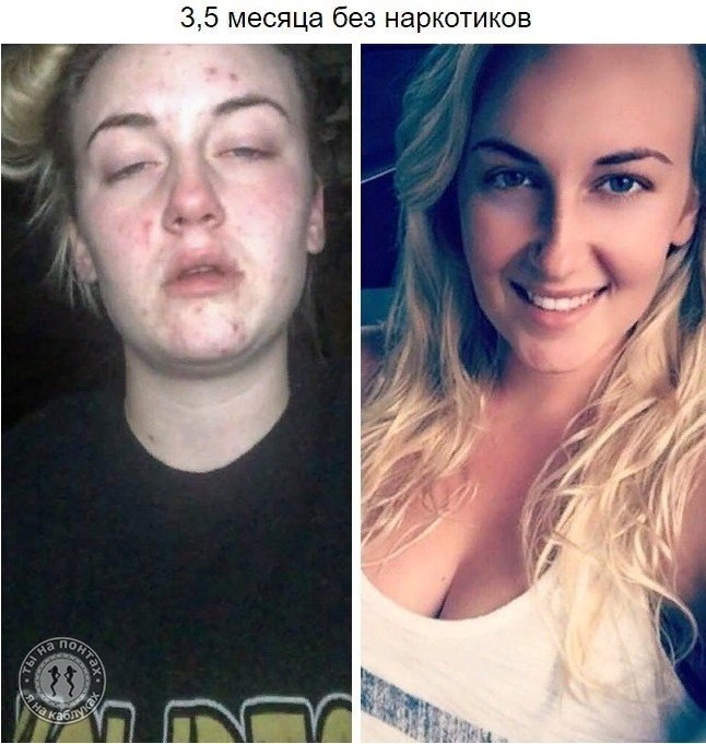   ,     : - 2