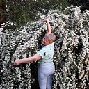 ���� �������, ��������, 55 ��� - ��������� 20 ��� 2019 � ������ ���� ����������