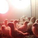 ���� �����, ������, 50 ��� - ��������� 9 ������� 2019