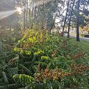  , , 50  -  4  2019   3.10.2019 