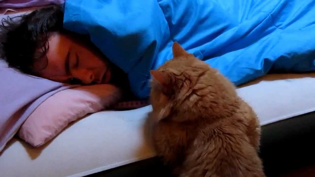 ... 5 ...H   ....     ,      ... - 3