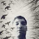  Stalker,  -  6  2019    
