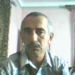 Zebkin ����, �����-���������, 62 ����