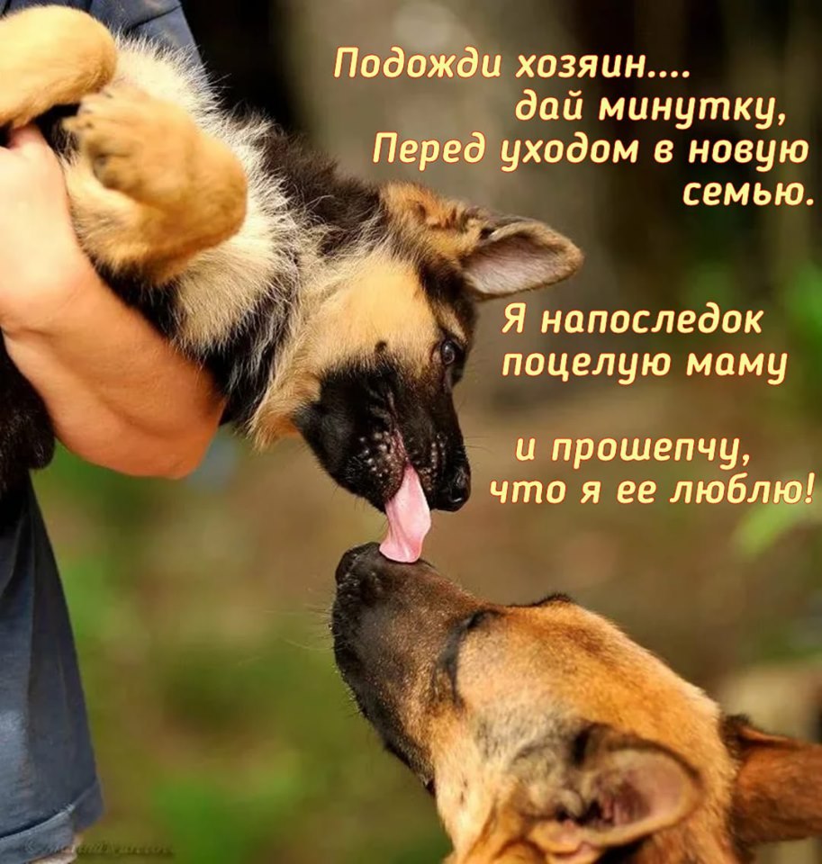 )))