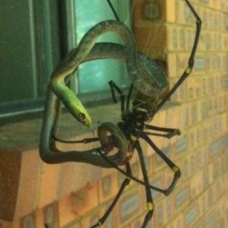 Aca  eco, e o e co oe. - 4