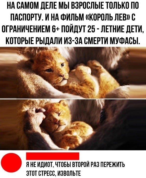  - 24  2019  03:47