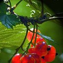 ���� �������, ������, 64 ���� - ��������� 12 ���� 2019 � ������ ������ ��������