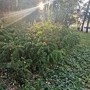  , , 50  -  4  2019   3.10.2019 