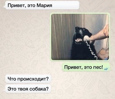   -  ,    - 4