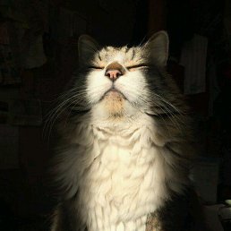 �����, ������, 80 ���