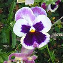 ���� �������, �������, 41 ��� - ��������� 3 ������ 2019 � ������ ������ ��������