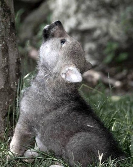 M��e����e �o��a�� y����� �e���� ����� - 2