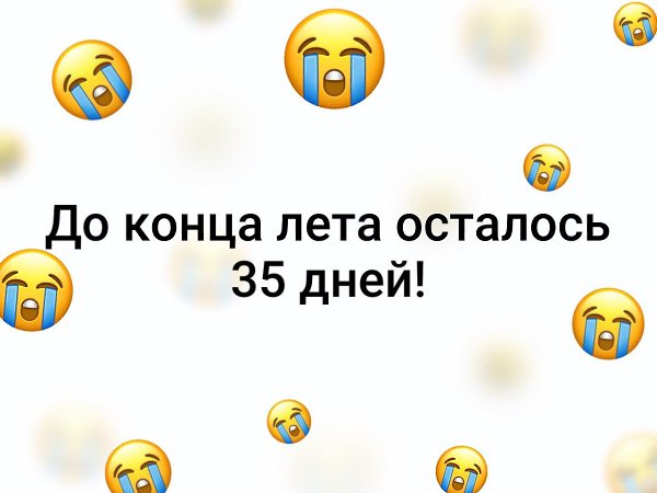   - 29  2019  00:54