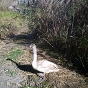 ���� ������, ���������-�������, 55 ��� - ��������� 4 ������� 2019