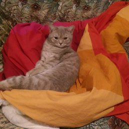 �����, ������, 57 ���