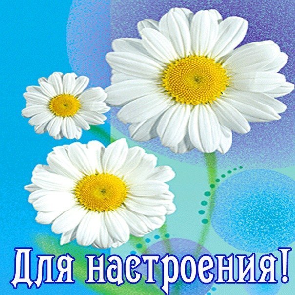   ,    . - 11  2019  14:19